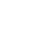 Vida Estetika